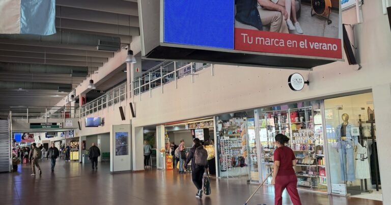 Pocos accesos, quejas por falta de información e inseguridad: la terminal de Retiro hoy y el anuncio del Gobierno para buscarle nuevo dueño