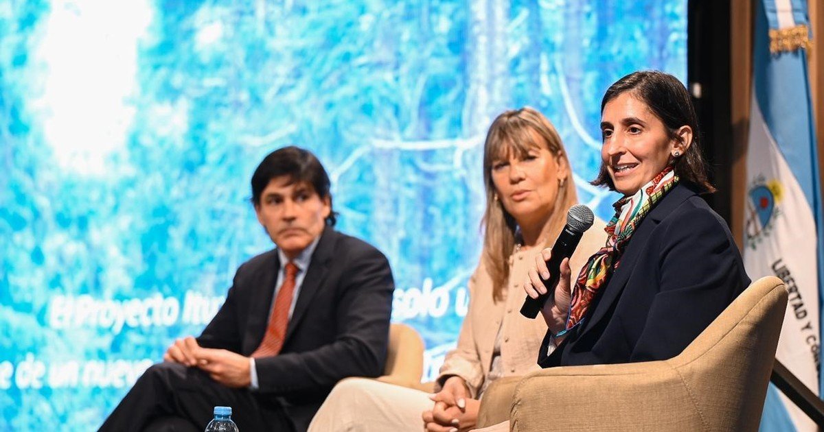 Es la fotosíntesis, estúpido...