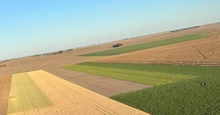 ¿Urea por las nubes?