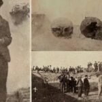 "La huerta del francés": el crimen andaluz que terminó en un jardín de cadáveres