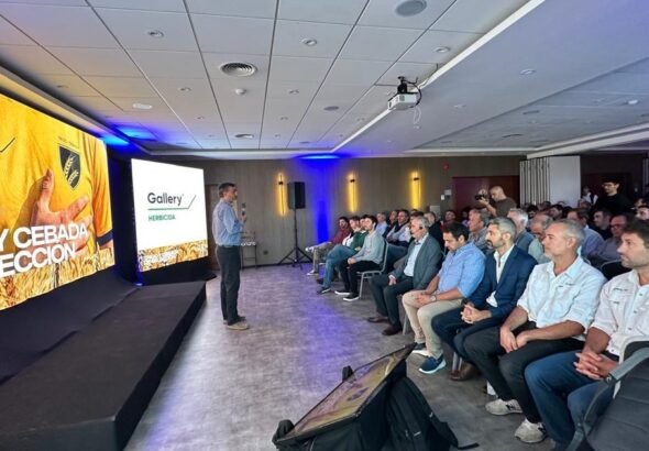 Un nuevo estándar de residualidad y selectividad para el control preemergente de crucíferas para trigo y cebada