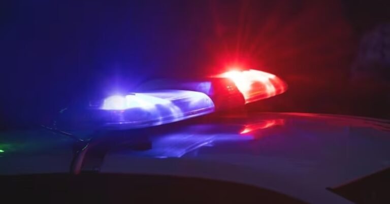 Cayó en Florida una de las mayores redes de fraude migratorio en EE.UU.: estafas por más de 20 millones de dólares