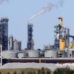 La celulosa de Corrientes y las pasteras del interior Oriental tienden a fusionarse