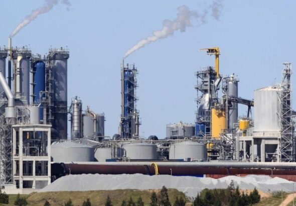 La celulosa de Corrientes y las pasteras del interior Oriental tienden a fusionarse