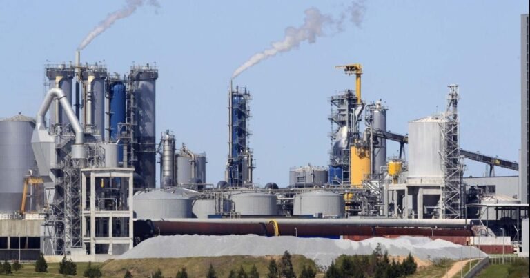 La celulosa de Corrientes y las pasteras del interior Oriental tienden a fusionarse