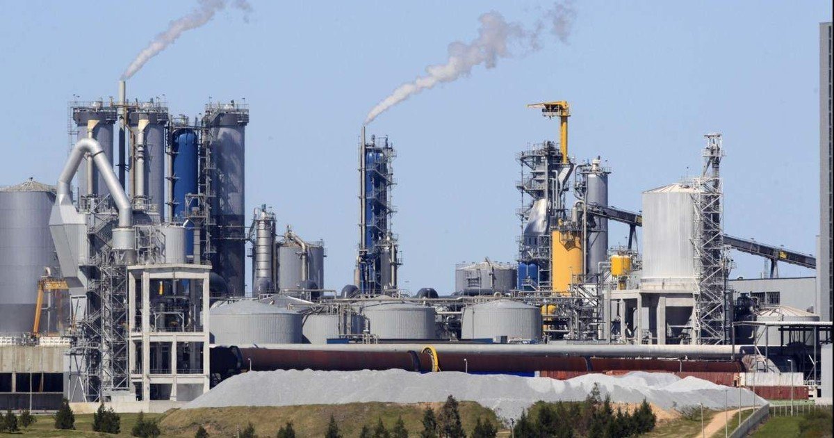 La celulosa de Corrientes y las pasteras del interior Oriental tienden a fusionarse