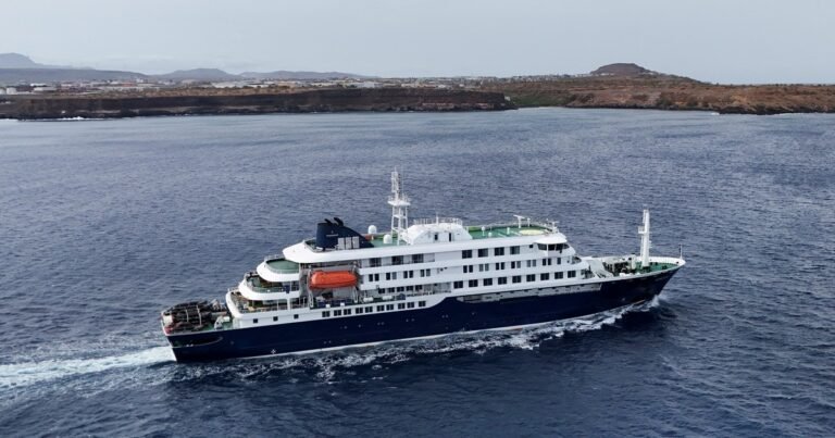 Brote de hantavirus en el crucero: qué es la variante Andes y el dato que más preocupa de los contagios en Argentina