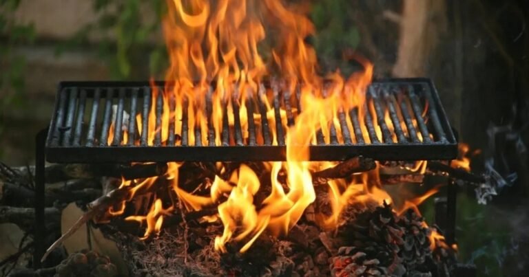 Guardar las cenizas de asado es conservar un tesoro: para qué sirven y cómo aprovecharlas