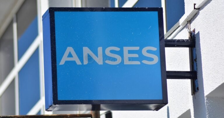 PUAM mayo 2026: cuánto se cobra con aumento y bono de ANSES
