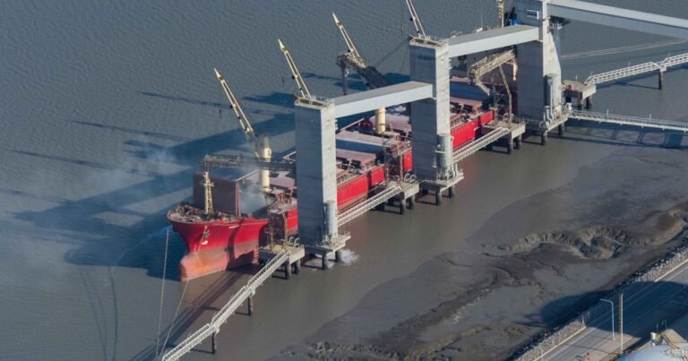 En abril hubo exportaciones récord por US$ 8.914 millones y  se alcanzó un superávit de US$ 2.711 millones