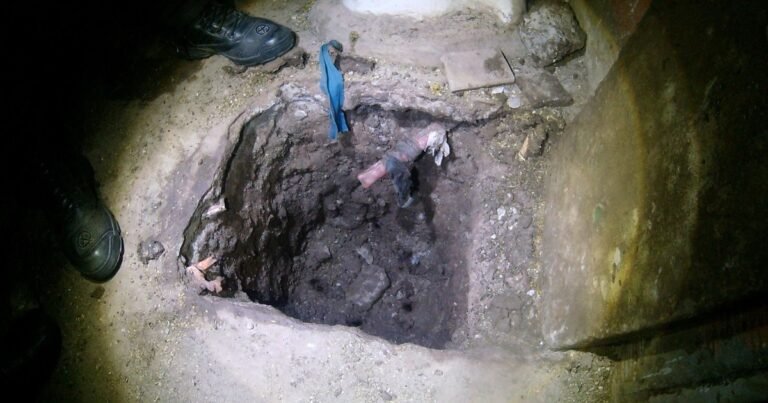 Descubren un túnel en una cárcel de máxima seguridad en Santa Fe: lo estaban cavando junto a un inodoro