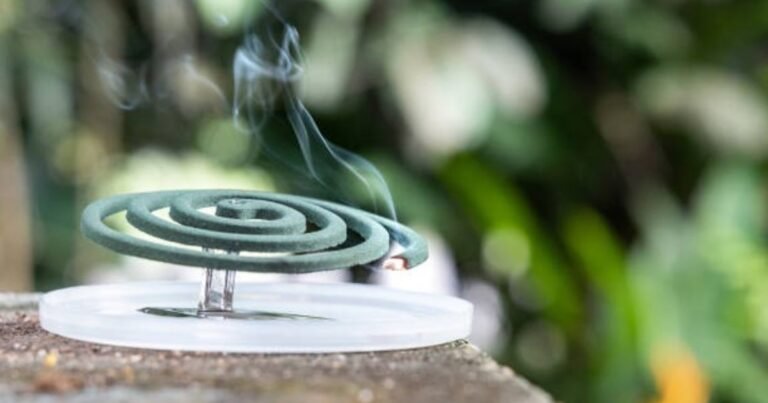 La ANMAT prohibió la venta de una marca de espirales y tabletas para mosquitos y varios productos para el cabello