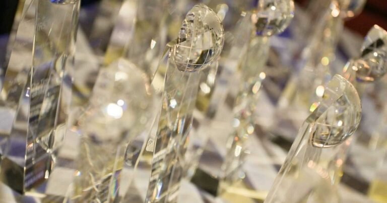 Clarín ganó dos premios de la International News Media Association por su documental “Paralelo 46: la flota depredadora”