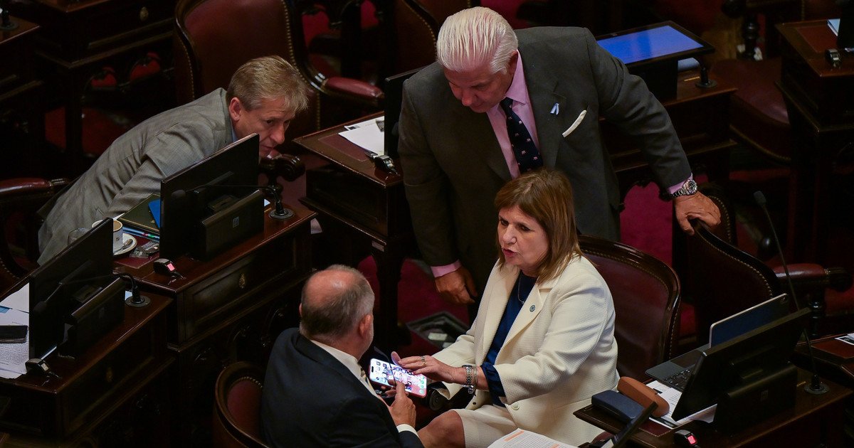 La interna entre Karina Milei y Bullrich complica el avance de la Reforma Electoral en el Senado