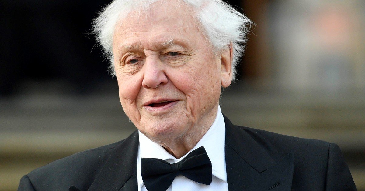 El naturalista David Attenborough cumplió 100 años: los mensajes del rey Carlos III, Beckham y otras personalidades