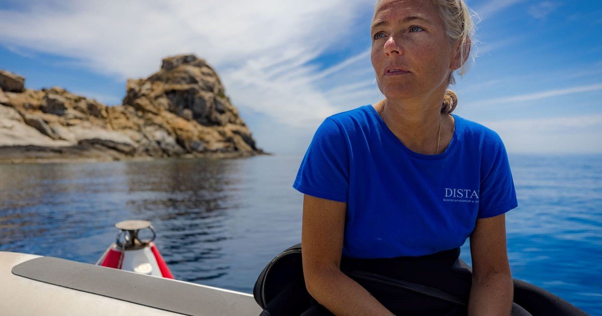 Revelan las últimas palabras de Monica Montefalcone, la bióloga marina que murió en la peor tragedia de buceo de Maldivas