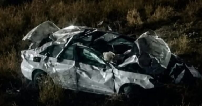 Un ingeniero murió al despistar con su Audi en Mendoza y robaron sus pertenencias antes de que llegara la asistencia