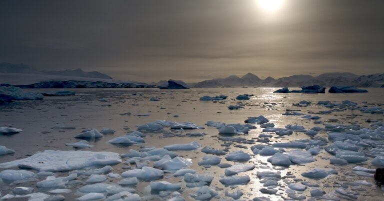 Cambio climático: advierten por nuevos récords de temperaturas máximas globales para los próximos cuatro años