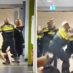 El video que causa indignación en Países Bajos: un policía tira al suelo a una mujer que, según medios locales, estaría embarazada