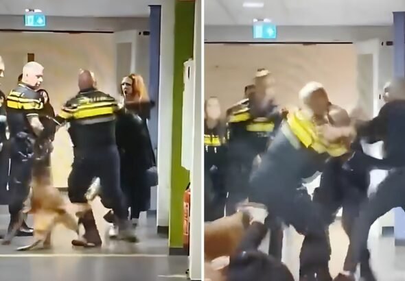 El video que causa indignación en Países Bajos: un policía tira al suelo a una mujer que, según medios locales, estaría embarazada