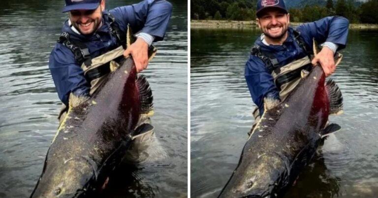 El impresionante salmón de más de 20 kilos que un pescador capturó tras recorrer 3.000 kilómetros
