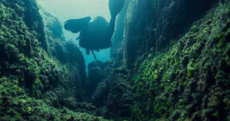 Los investigadores no dan crédito: un hallazgo en las profundidades marinas revela por qué los cañones submarinos nacen sin ríos