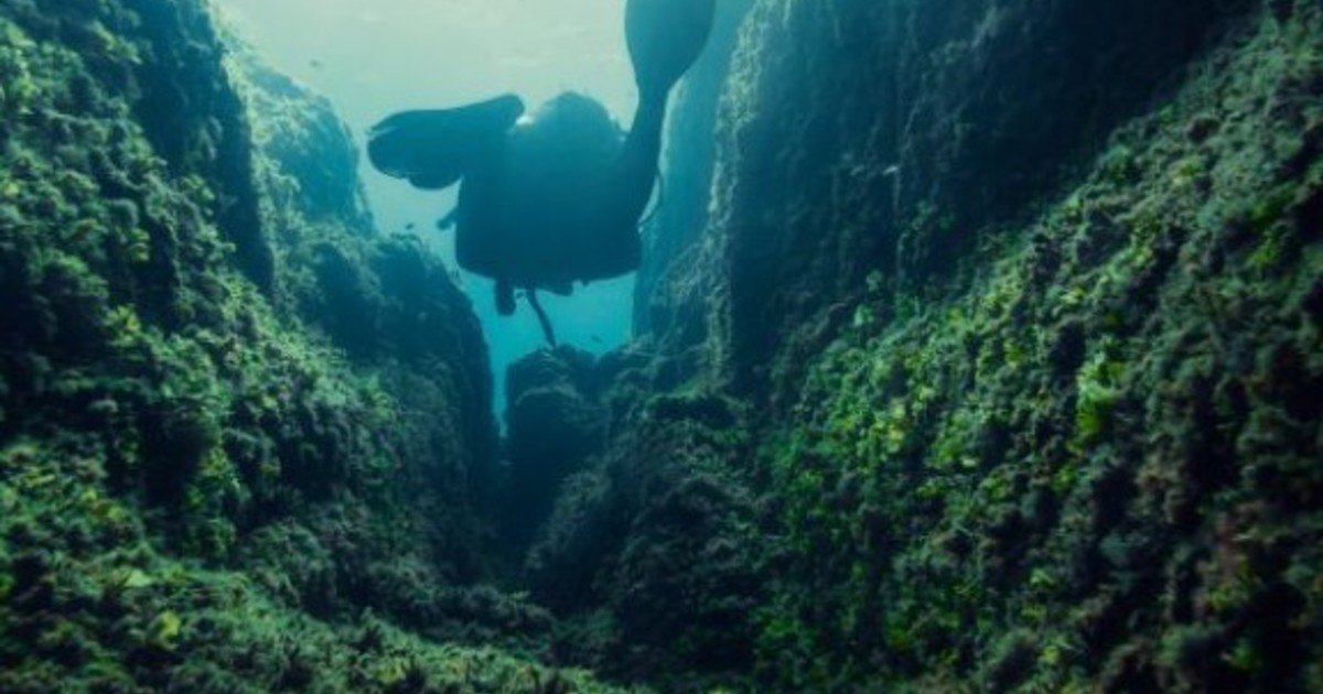 Los investigadores no dan crédito: un hallazgo en las profundidades marinas revela por qué los cañones submarinos nacen sin ríos
