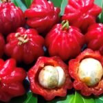 La fruta brasileña que crece en Jujuy y sorprende por sus beneficios para la salud