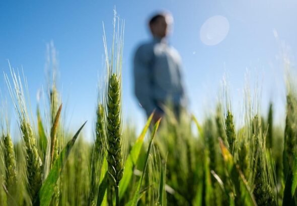Mercados en tensión: suben los costos, pesa el clima y el
mercado se mueve por expectativas