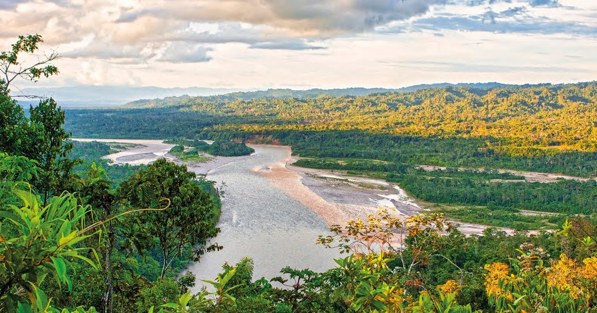 Cada año, 27 millones de toneladas de polvo del Sahara cruzan el océano Atlántico y se depositan en el Amazonas, aportando la misma cantidad de fósforo que la selva pierde y ayudando a su fertilización