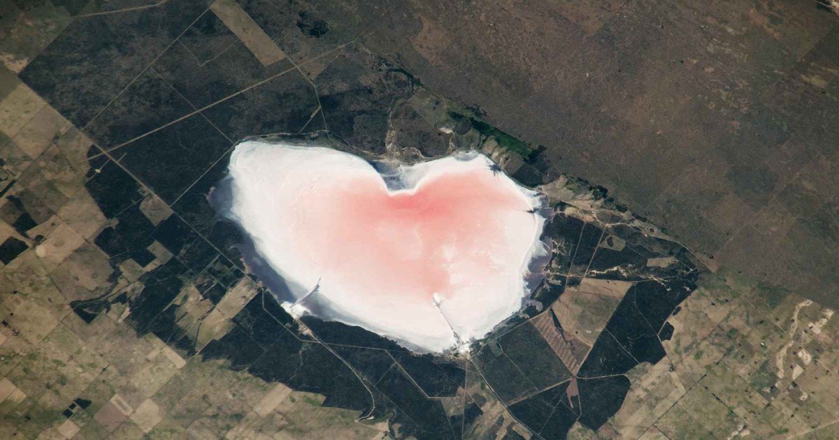 El “corazón” rosa que la NASA vio desde el espacio en Argentina y que no es lo que parece