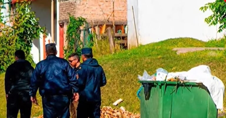 Entre Ríos: encontraron un feto de seis meses de gestación dentro de un contenedor de basura