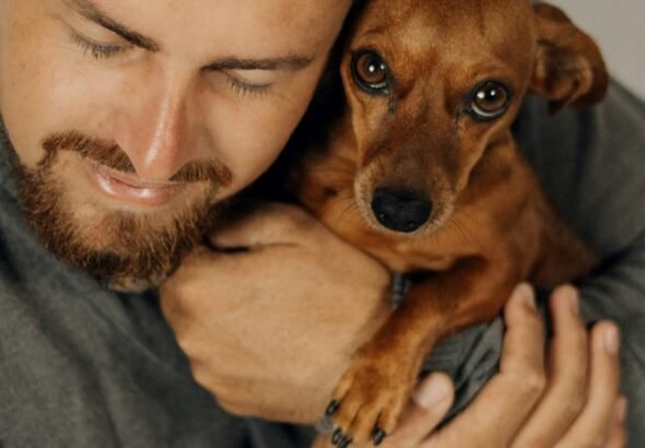 Un estudio confirma que el deseo de tener perro vendría determinado por nuestros genes