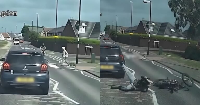 Atropelló y huyó: condenaron al joven que mató a una abuela de 86 años con una moto eléctrica