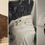 Una abuela jubilada vive desde hace 36 años en un edificio en Harlem y hoy lucha contra su casero por la reparación del baño de su departamento: “Rescátenme, por favor”