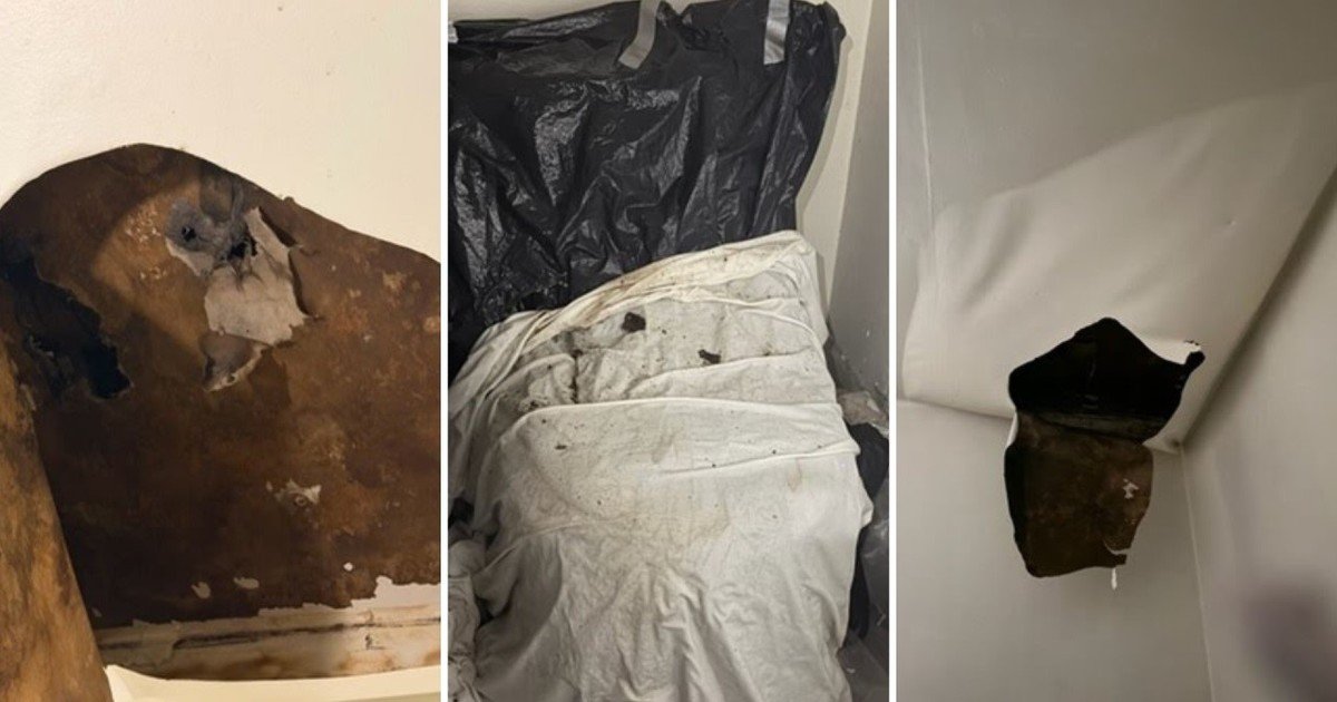 Una abuela jubilada vive desde hace 36 años en un edificio en Harlem y hoy lucha contra su casero por la reparación del baño de su departamento: “Rescátenme, por favor”