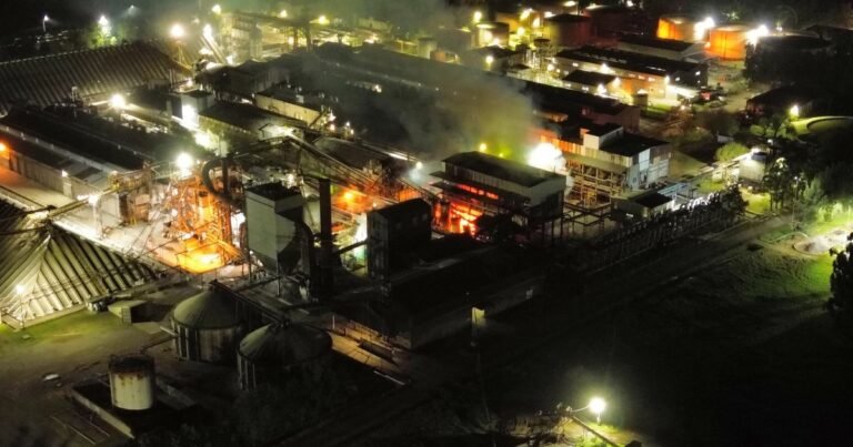 Se incendió una planta de Vicentin en Santa Fe: evacuaron al personal y cortaron la ruta A012