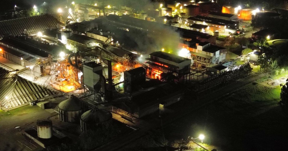 Se incendió una planta de Vicentin en Santa Fe: evacuaron al personal y cortaron la ruta A012