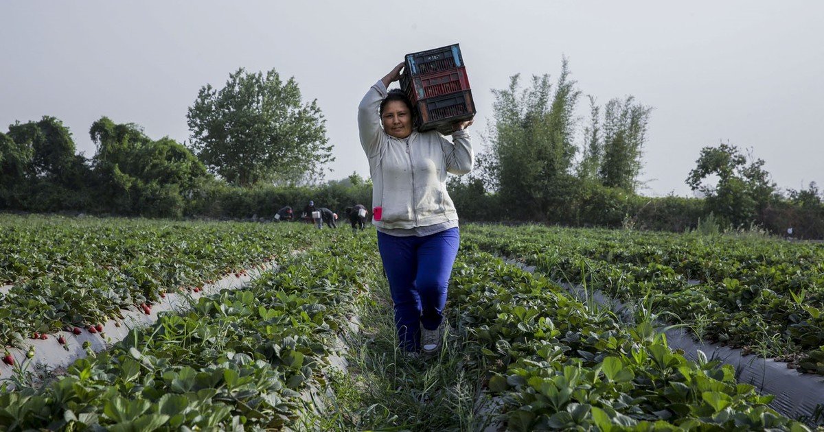 Aumentan 2% la prestación de desempleo para los trabajadores rurales