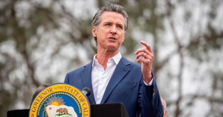 Confirmado en California: Gavin Newsom castigará a todos los conductores que postergaron este trámite obligatorio
