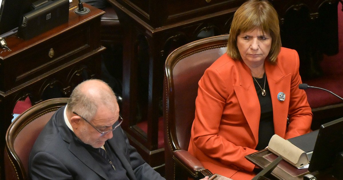 Cruce e ironías entre José Mayans y Patricia Bullrich por la corrupción: "Los bolsos de López llevaban 8 millones de figuritas del Mundial"