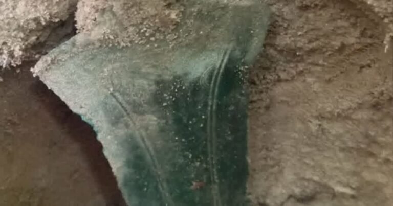 Un hombre encontró en un bosque una espada de más de 2700 años de antigüedad: "Me costó un rato asimilarlo y pensar con calma"