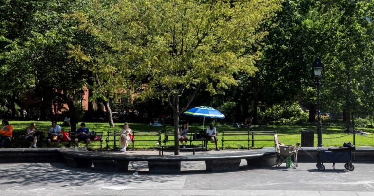 Estados Unidos: una "cúpula de calor" amenaza con temperaturas récord en Nueva York