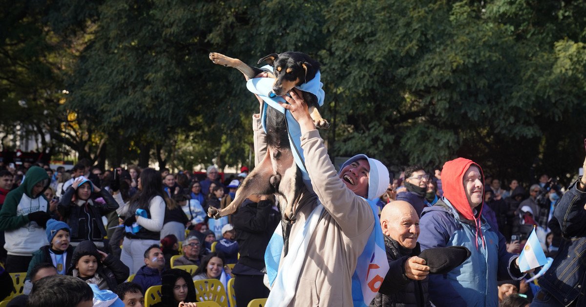 El hincha que con su perro "Muñeco" predijo el resultado frente a Austria y la rusa con mate que ama a la Argentina