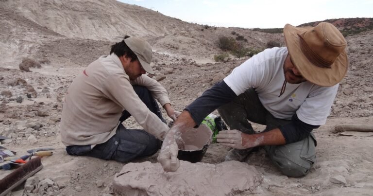 Hallaron en La Rioja fósiles de un animal prehistórico anterior a los dinosaurios