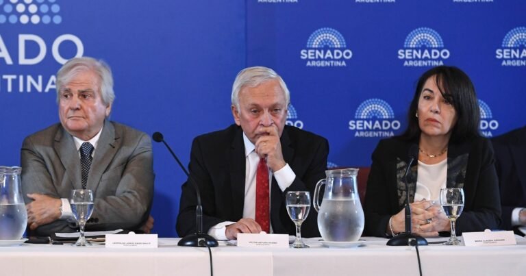 Sigue la tensión por los pliegos del Senado: cruces y acusaciones en la audiencia del juez que le levantó el freno a la Reforma Laboral
