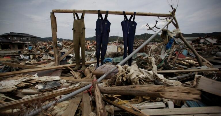 Un estudio revela que el terremoto de 2011 empujó a Japón 6 milímetros hacia el este: "Es un tipo de riesgo sísmico que no habíamos considerado antes"