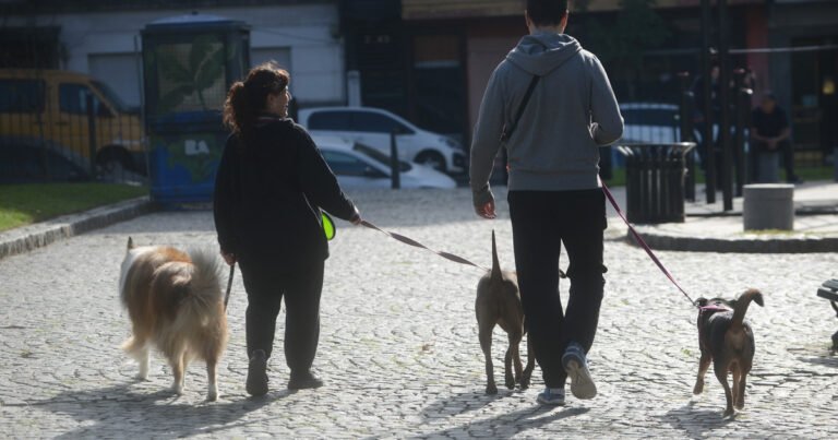 Pasear al perro: la nueva excusa para conocer gente fuera de las apps que crece en los parques y plazas