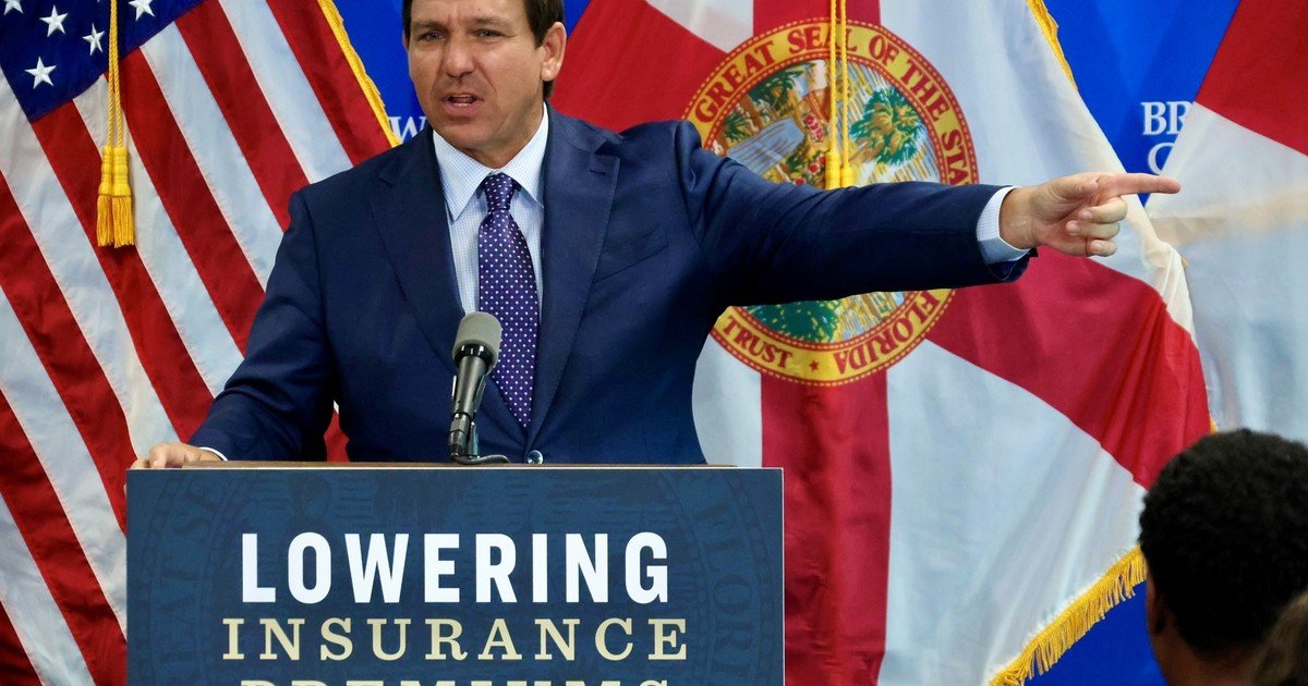 Medida oficial: en Florida, hasta el 14 de agosto es ilegal hacer esto si ves un murciélago y podrían multarte e ir a prisión