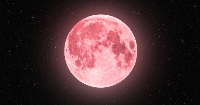 Cuándo hay luna llena en junio 2026 y a qué hora se verá en Argentina
